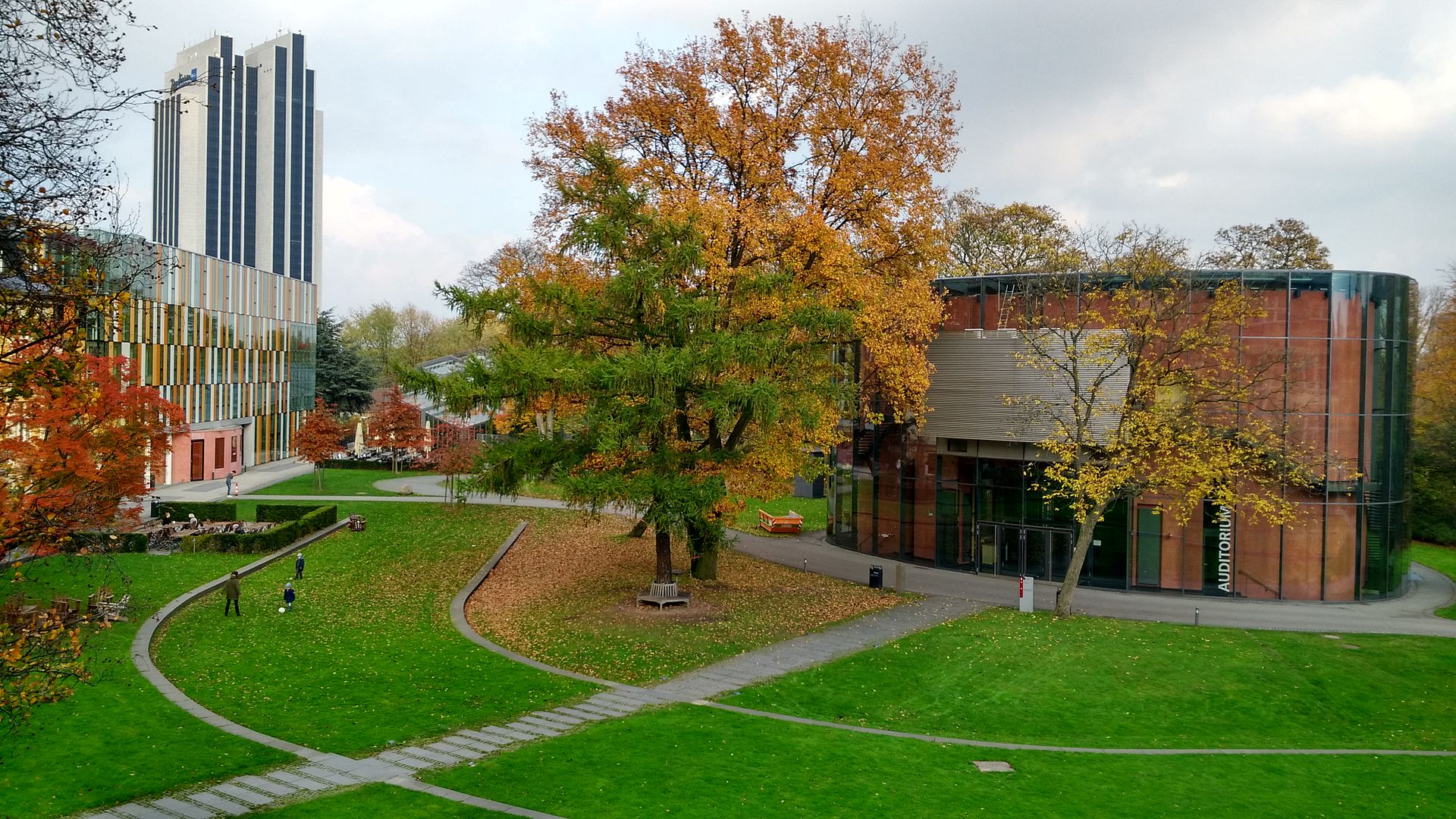 Blick auf das Auditorium der Bucerius Law School