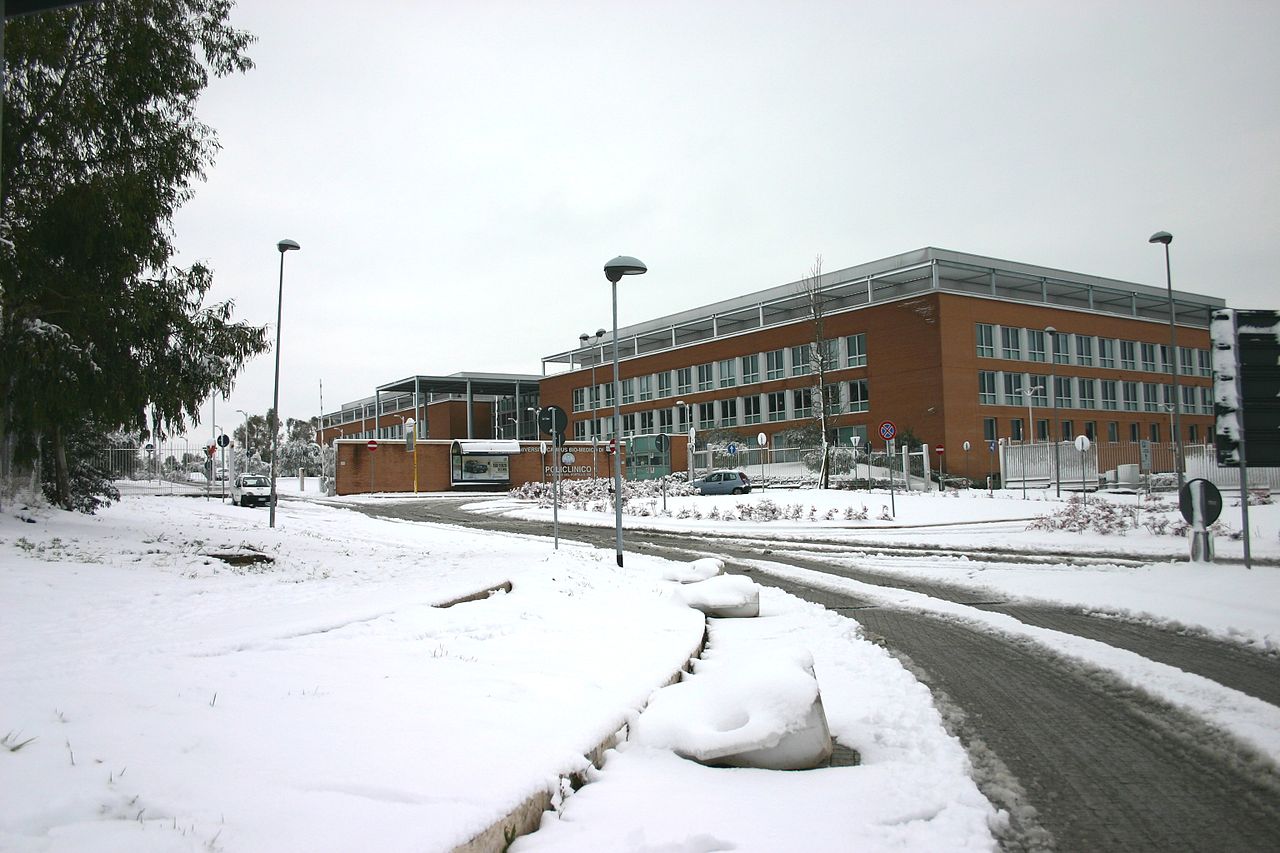 Campus Bio-Medico University, Rome, under the snow, february 2012 - 2