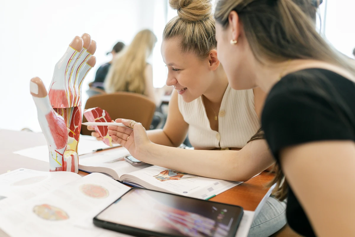 Warszawski Uniwersytet Medyczny 2